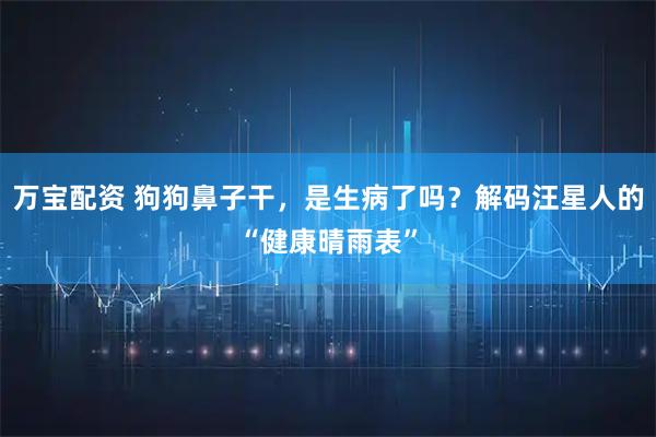 万宝配资 狗狗鼻子干，是生病了吗？解码汪星人的“健康晴雨表”